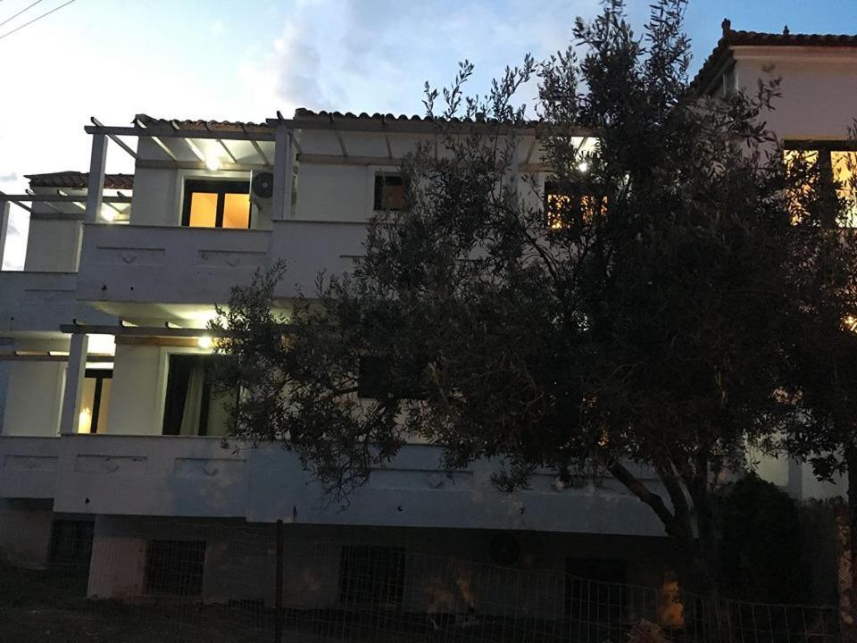 Chalkiotis Hotel Anaxos Zewnętrze zdjęcie